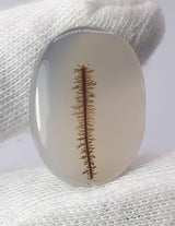 Dendritic Agate - 22.1ct