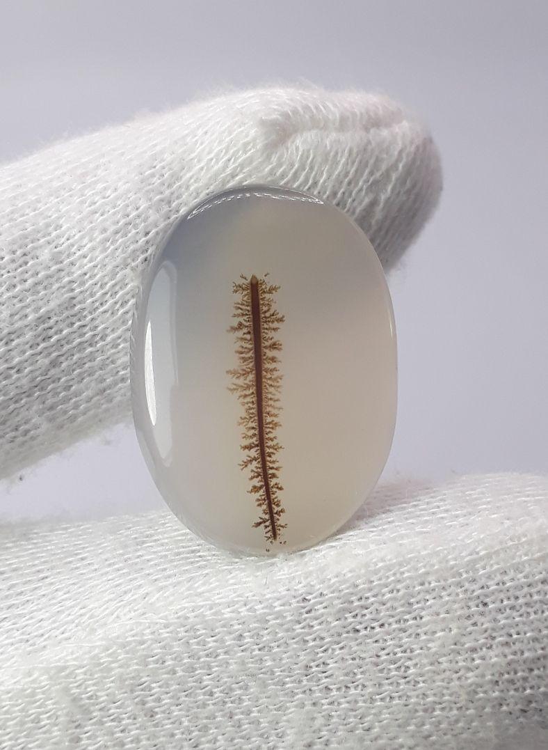 Dendritic Agate - 22.1ct