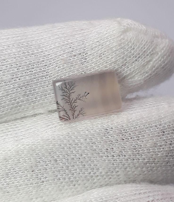 Dendritic Agate - 7.1ct
