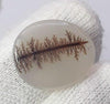 Dendritic Agate - 10.8ct