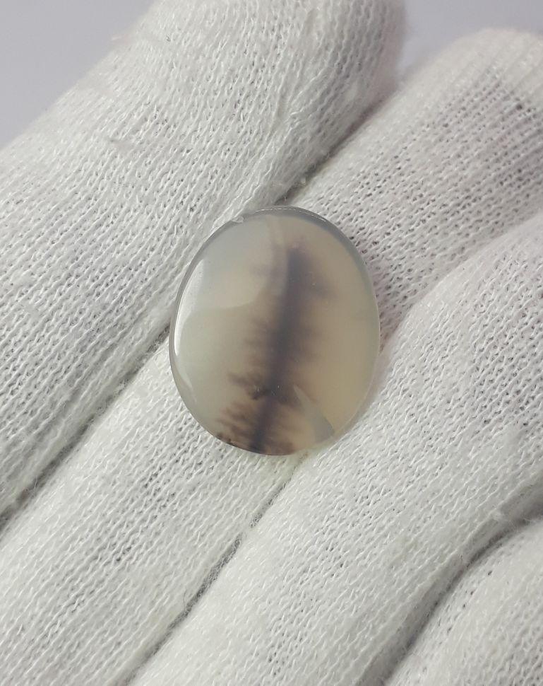 Dendritic Agate - 10.8ct