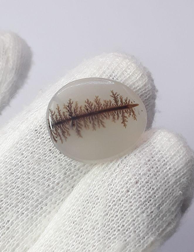 Dendritic Agate - 10.8ct