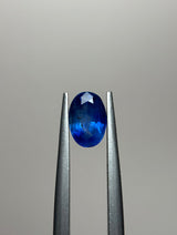 Blue Sapphire - 1.60ct