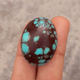 Egyptian turquoise - 51ct