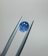 Blue Sapphire - 1.60ct