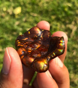 Collector Grade Mexican Fire Agate -95ct
