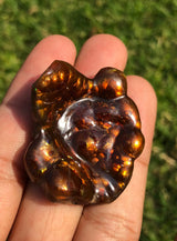 Collector Grade Mexican Fire Agate -95ct