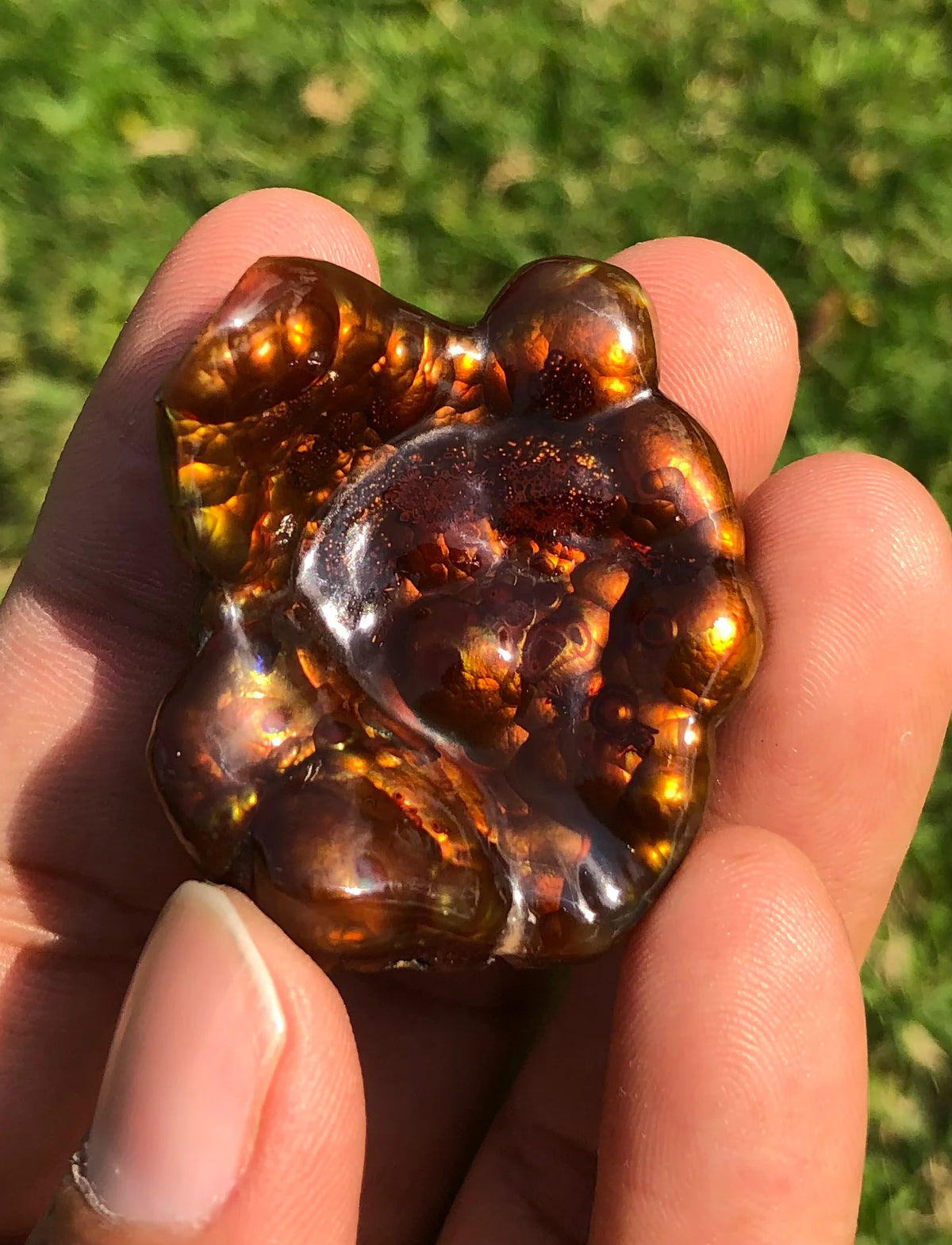 Collector Grade Mexican Fire Agate -95ct