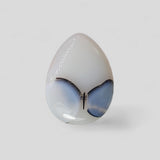 Dendritic Agate - 31.1ct
