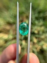 Emerald - 5.97ct