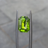Peridot - 6.5ct