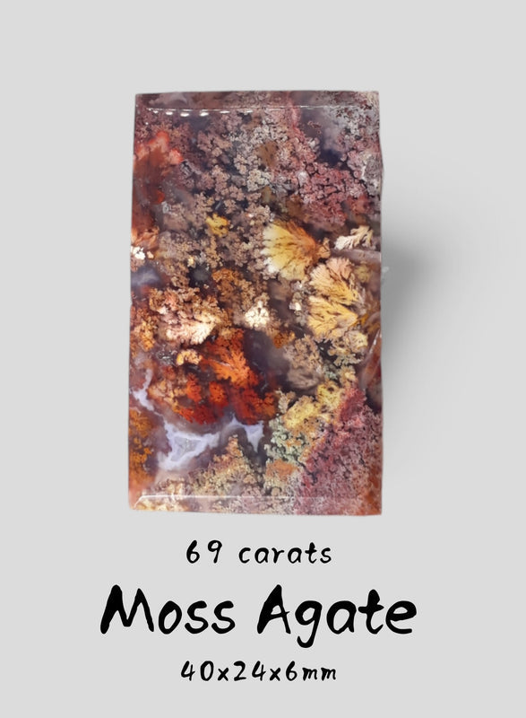 Moss Agate - 69ct