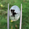 Dendritic Agate - 9.7ct