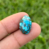 Turquoise - 17ct