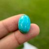 Turquoise - 17ct