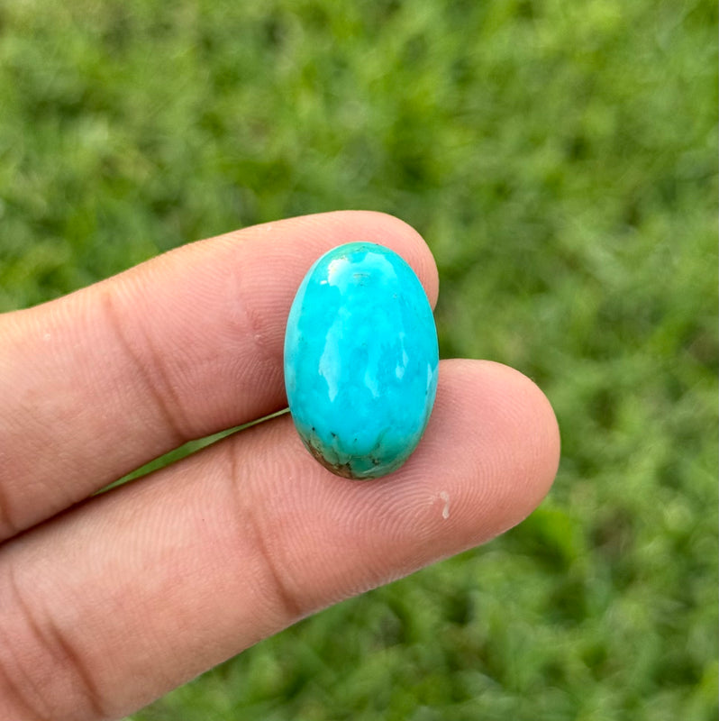 Turquoise - 17ct