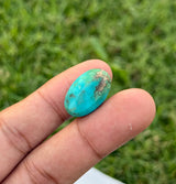 Turquoise - 17ct