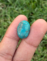 Turquoise - 11ct