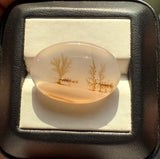 Dendritic Agate - 23.6ct