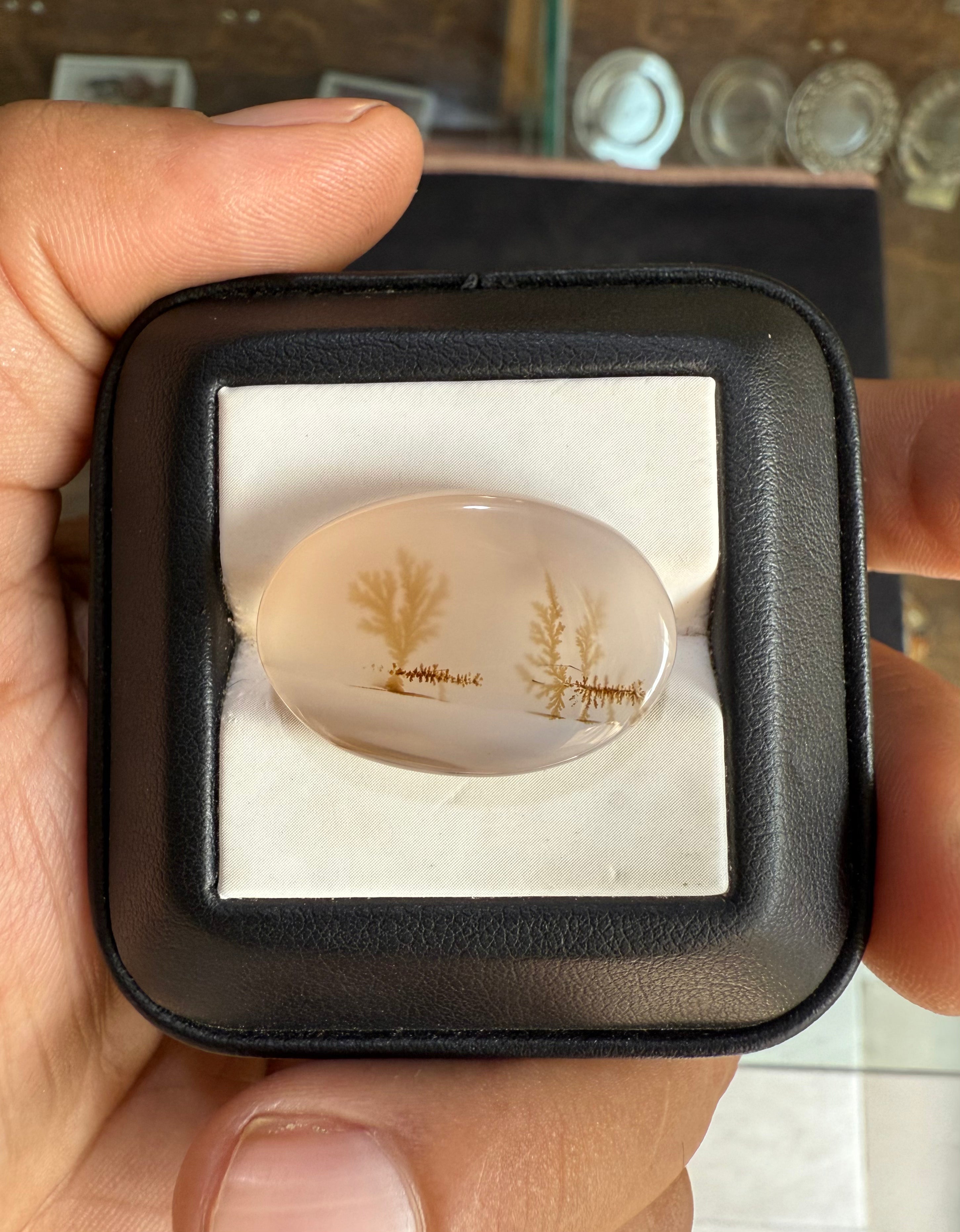 Dendritic Agate - 23.6ct