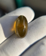 Vesuvianite ( Idocrase ) - 18.8ct