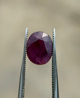 Kashmiri Ruby - 3.7ct