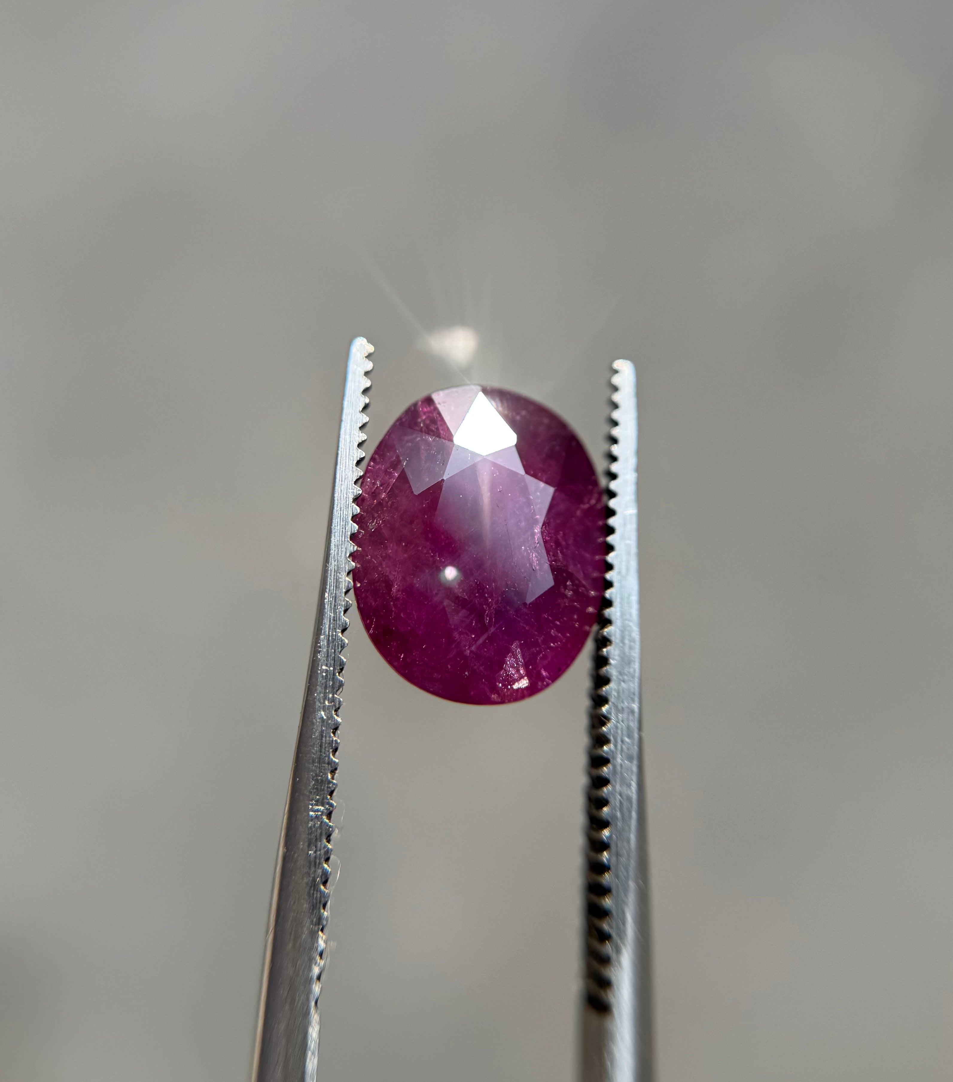 Kashmiri Ruby - 3.7ct