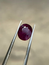 Kashmiri Ruby - 3.7ct