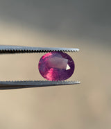 Bi-Color Kashmiri Sapphire - 2.3ct
