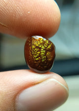 Mexican Fire Agate - 5ct