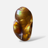 Mexican Fire Agate - 6.4ct