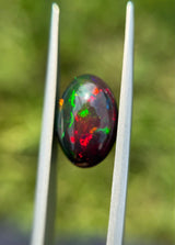 Fire Opal - 5.05ct