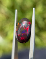 Fire Opal - 5.05ct