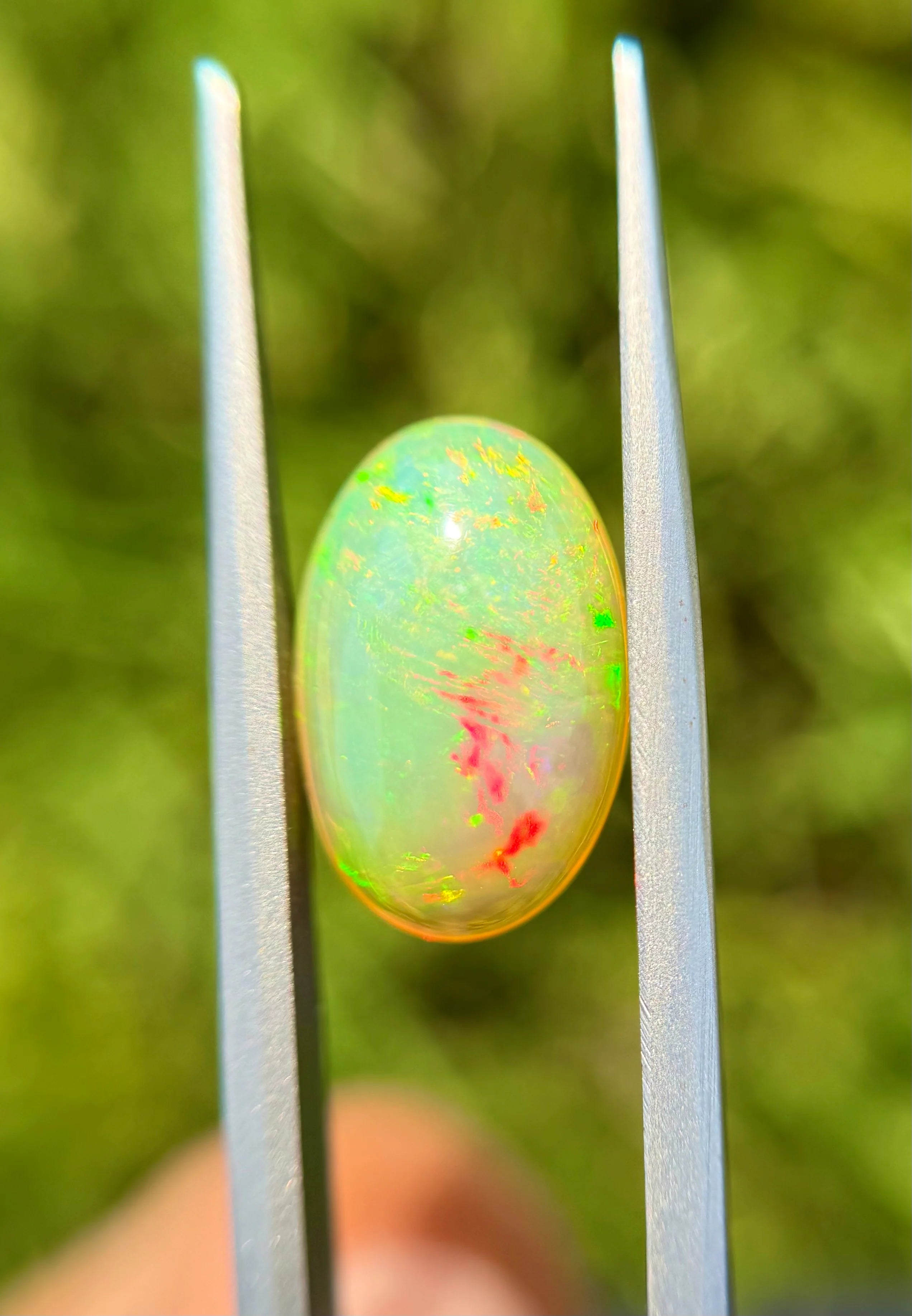 Fire Opal - 3.9ct