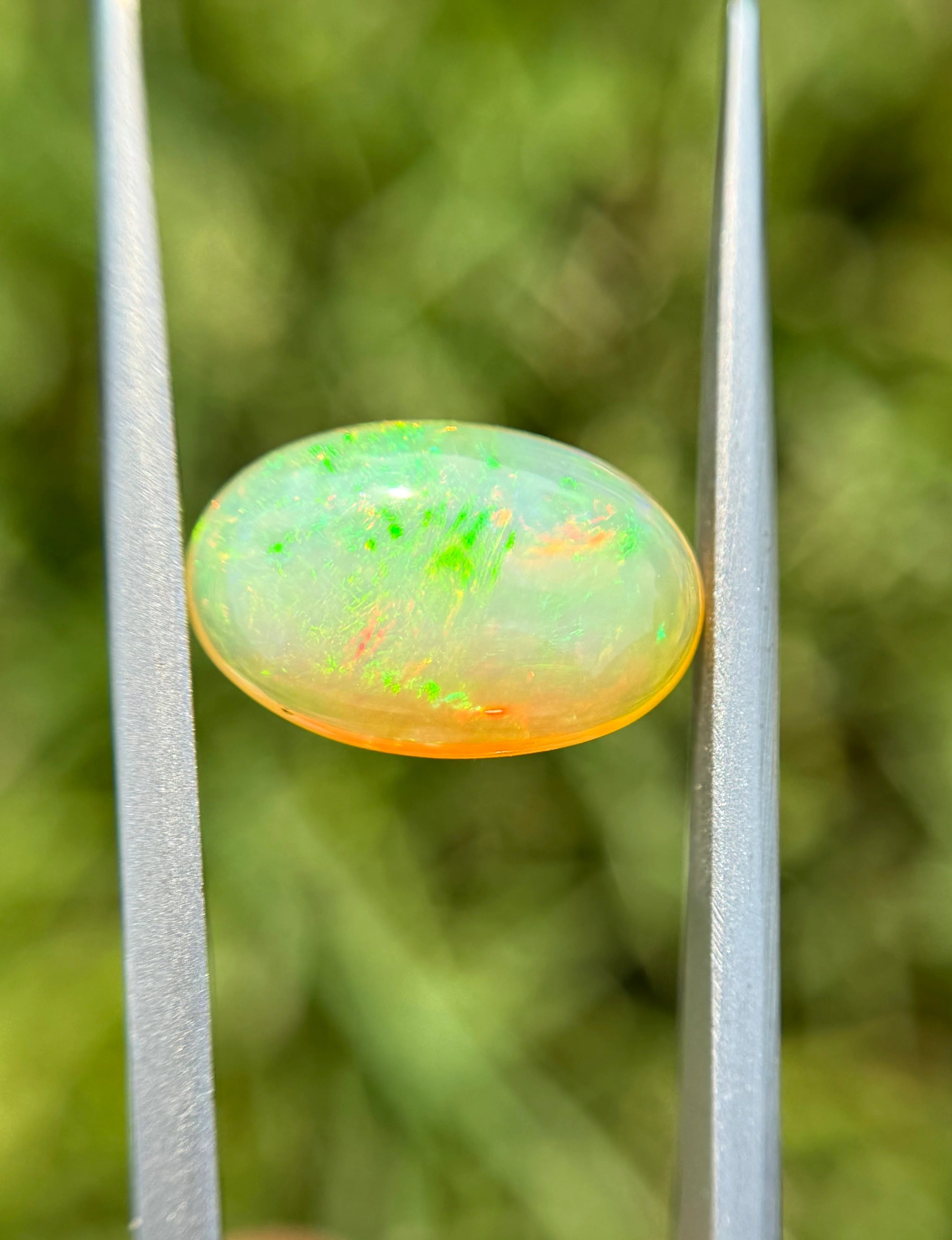 Fire Opal - 3.9ct