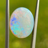 Fire Opal - 7.5ct