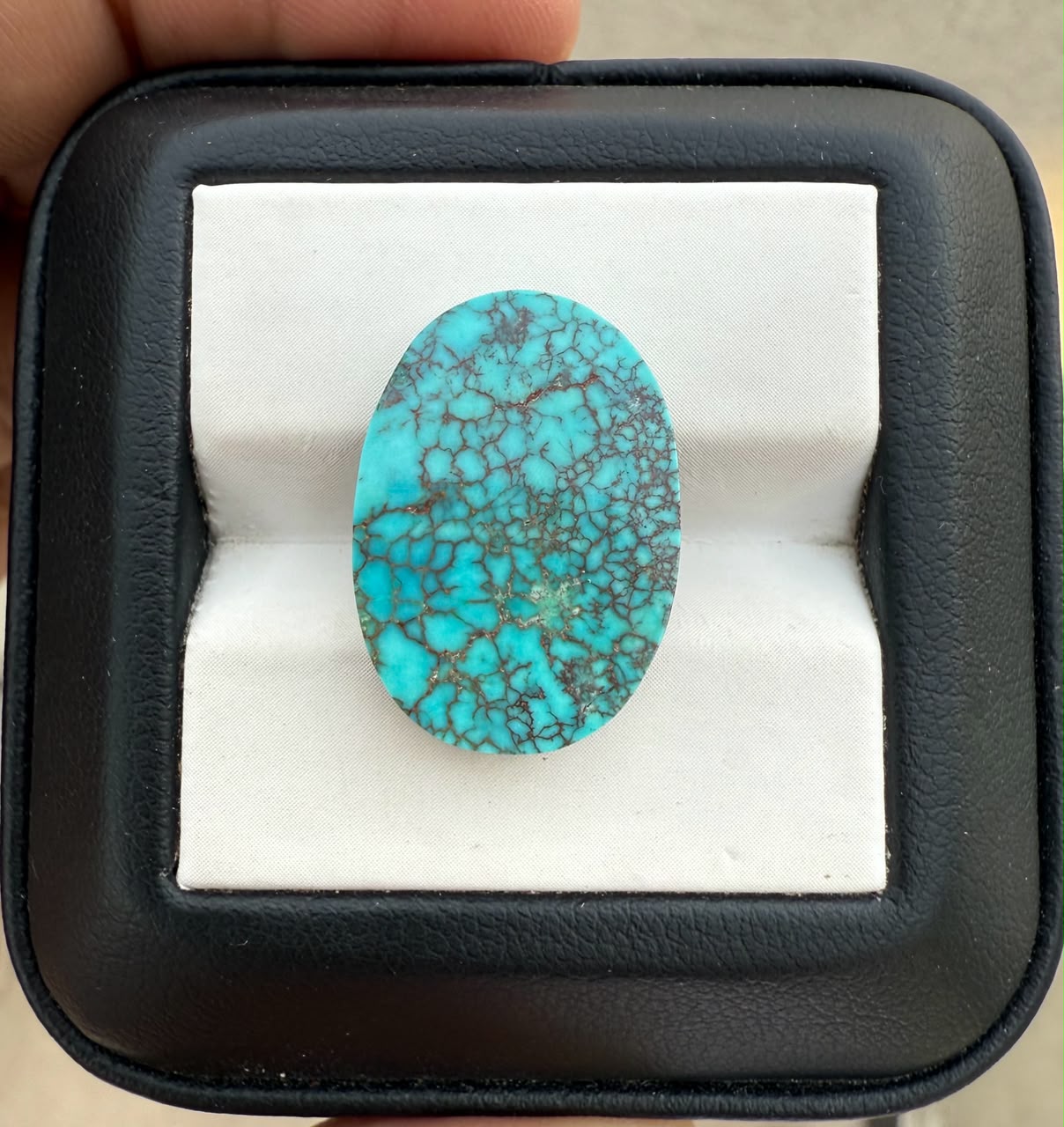 Spiderweb Turquoise 10.5ct