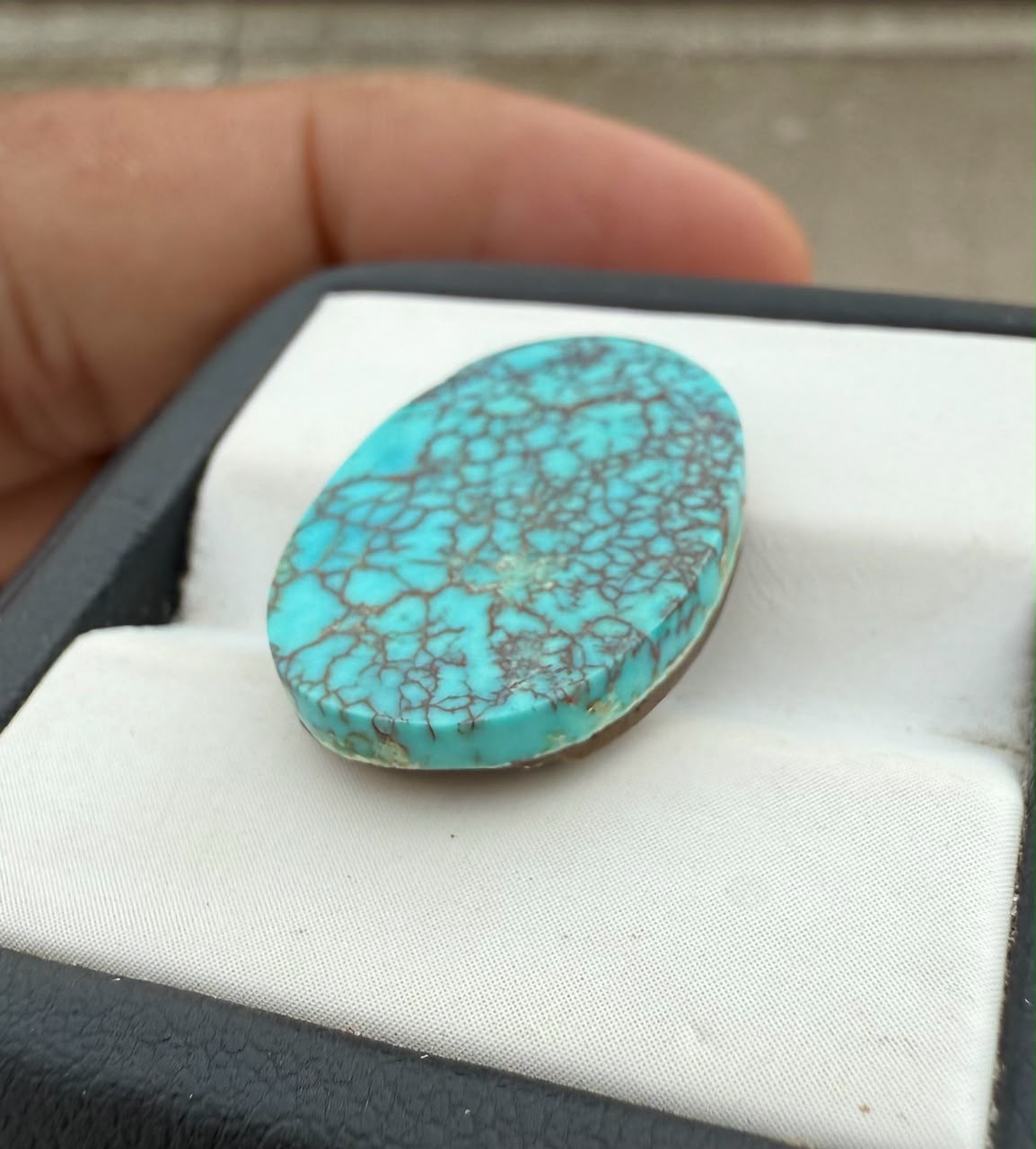 Spiderweb Turquoise 10.5ct