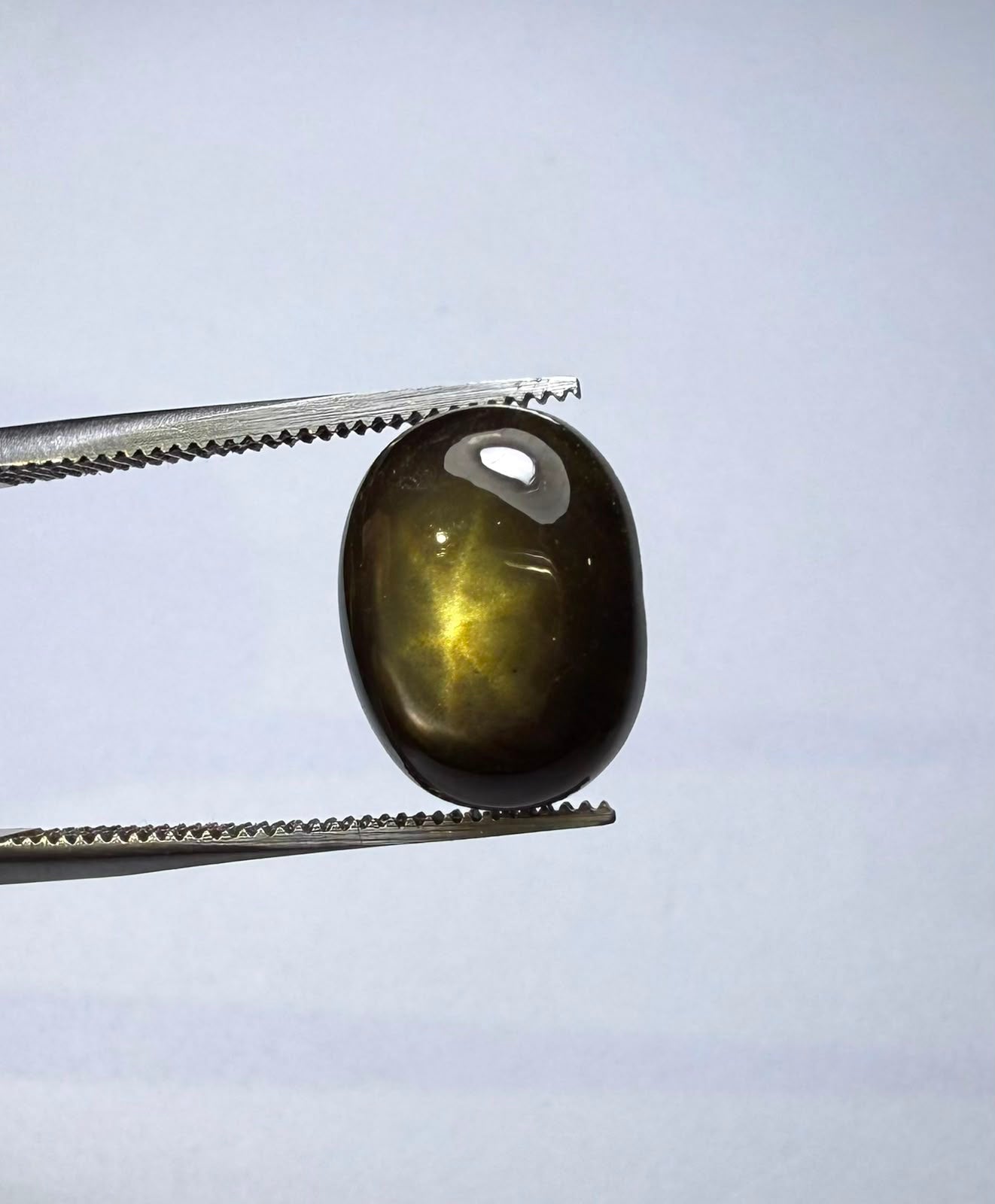 Golden Star Sapphire - 8.4ct