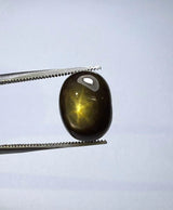 Golden Star Sapphire - 8.4ct
