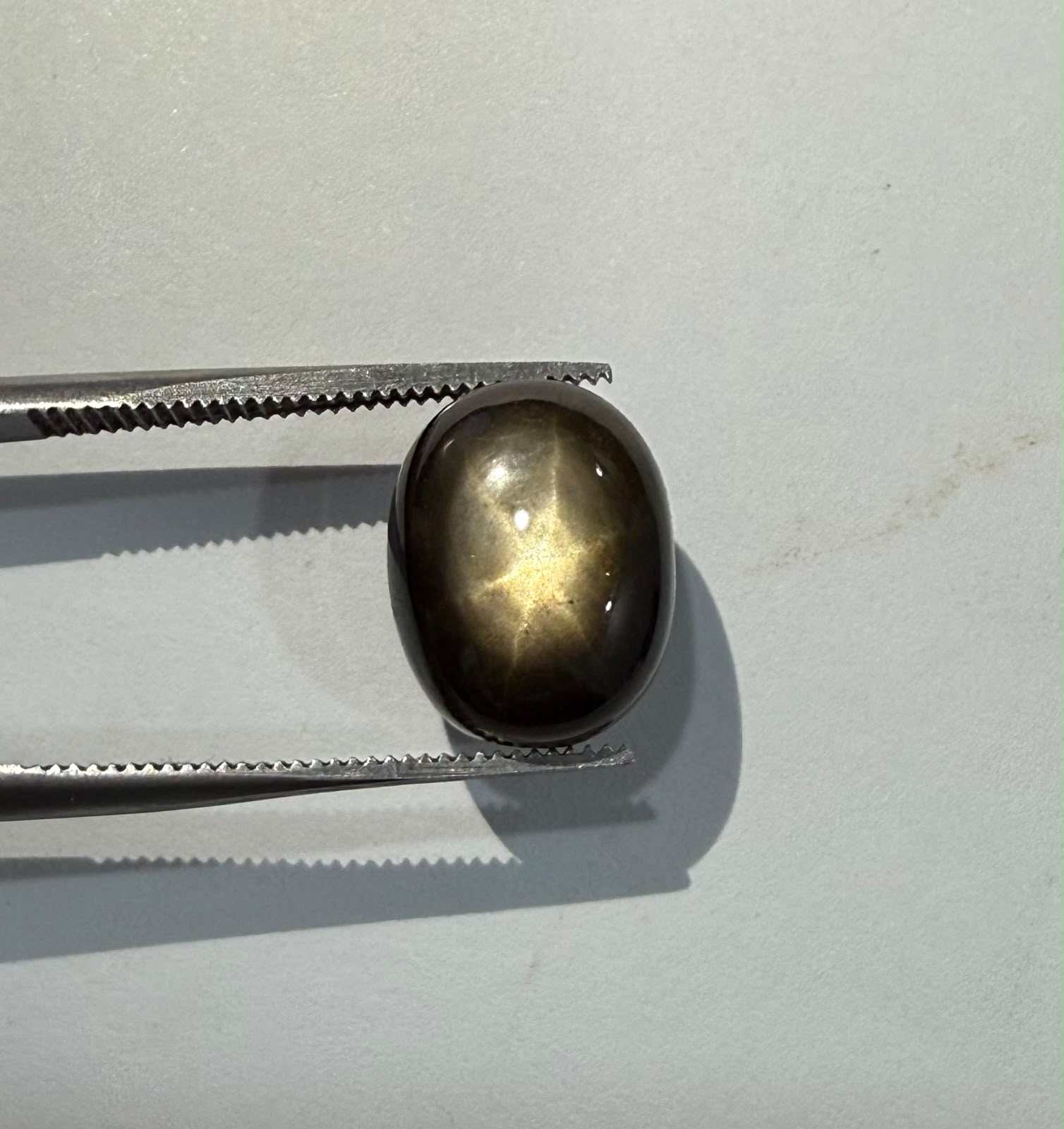Golden Star Sapphire - 8.4ct