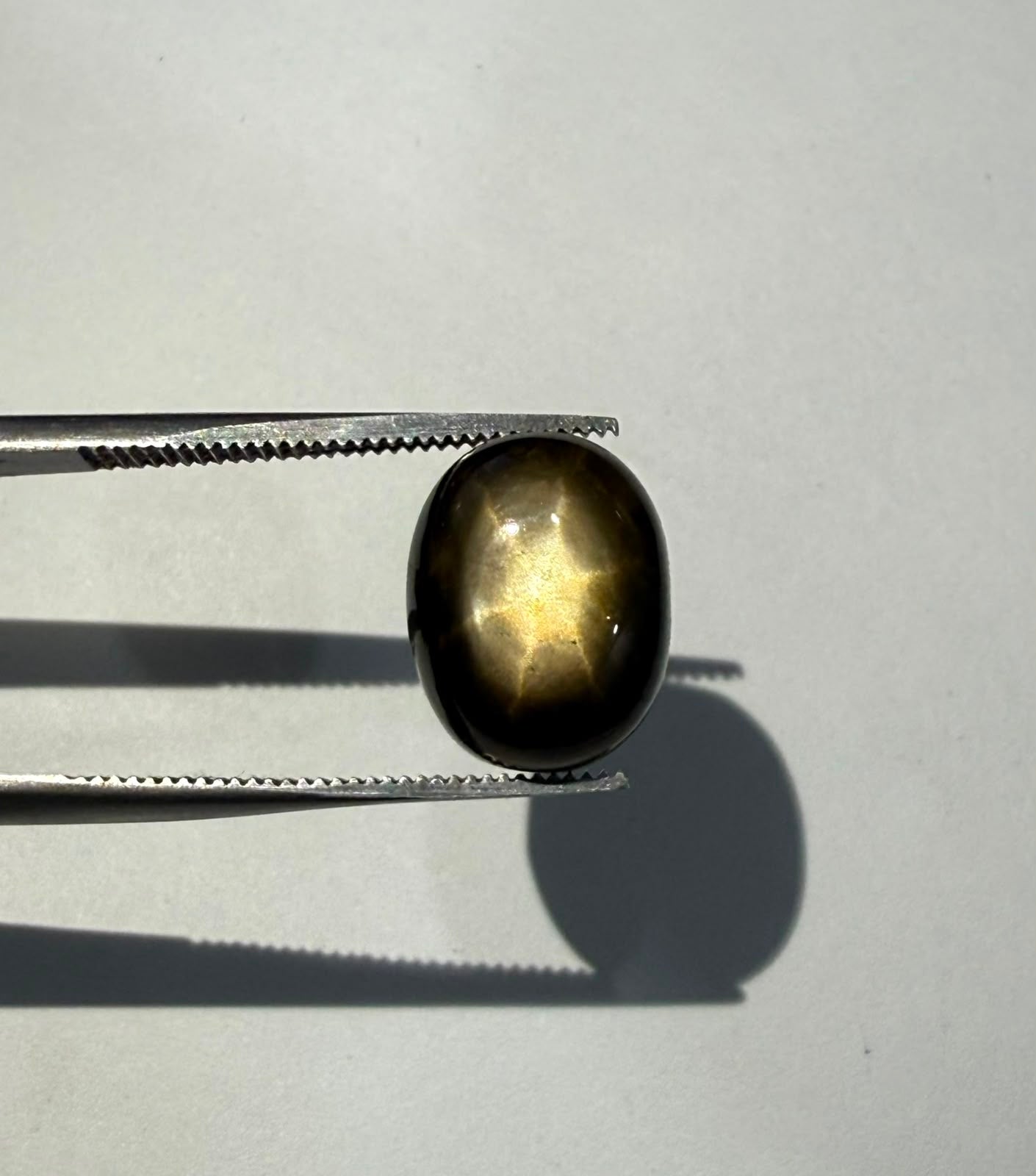 Golden Star Sapphire - 8.4ct