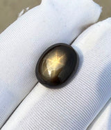 Golden Star Sapphire - 8.4ct