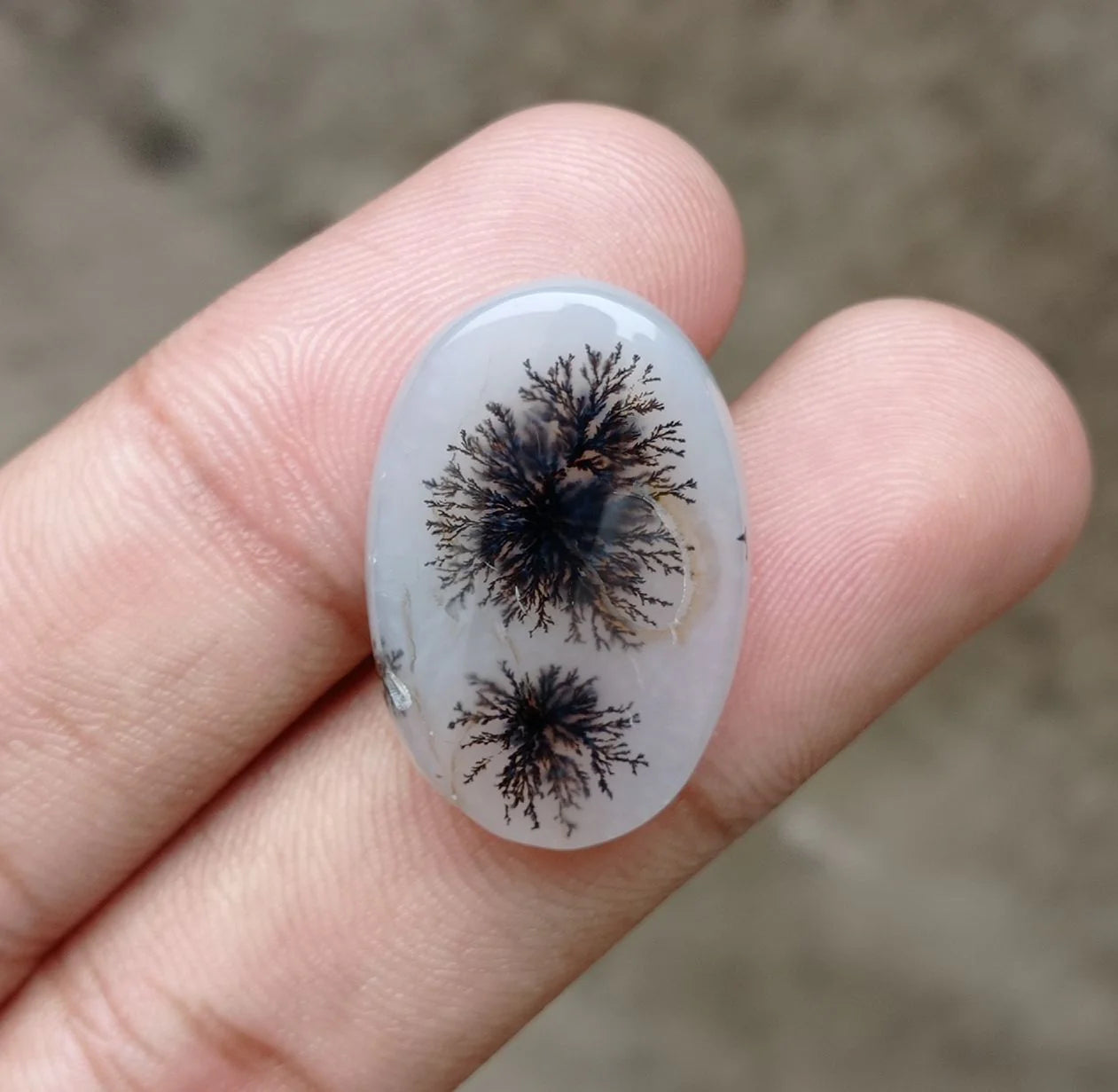 Dendritic Agate - 26ct