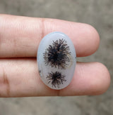Dendritic Agate - 26ct