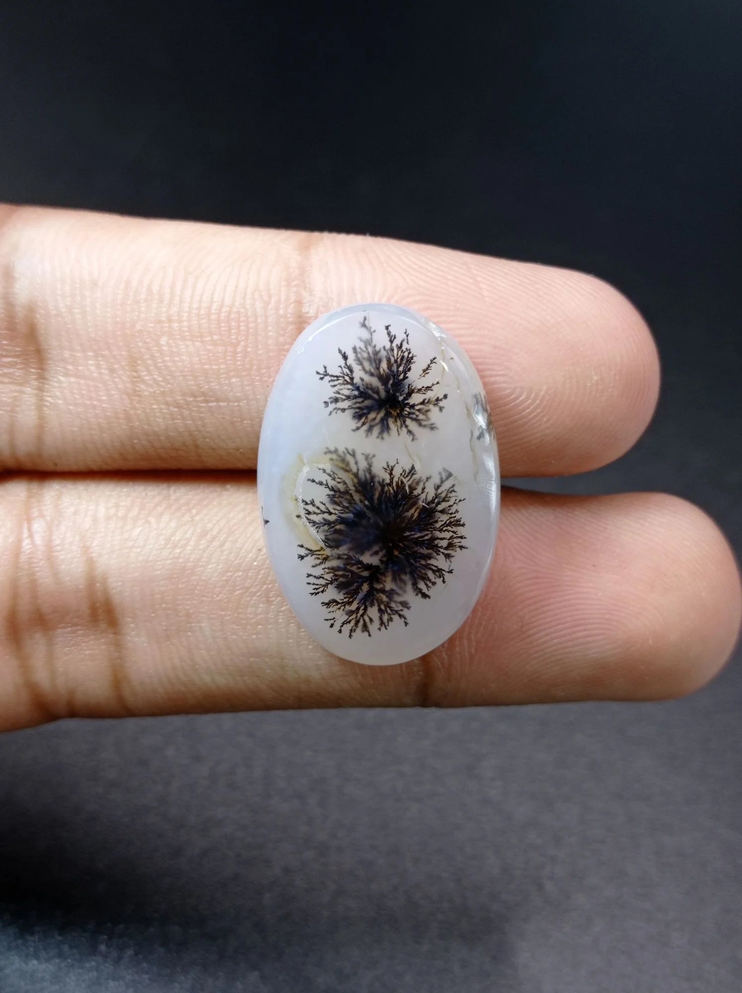 Dendritic Agate - 26ct