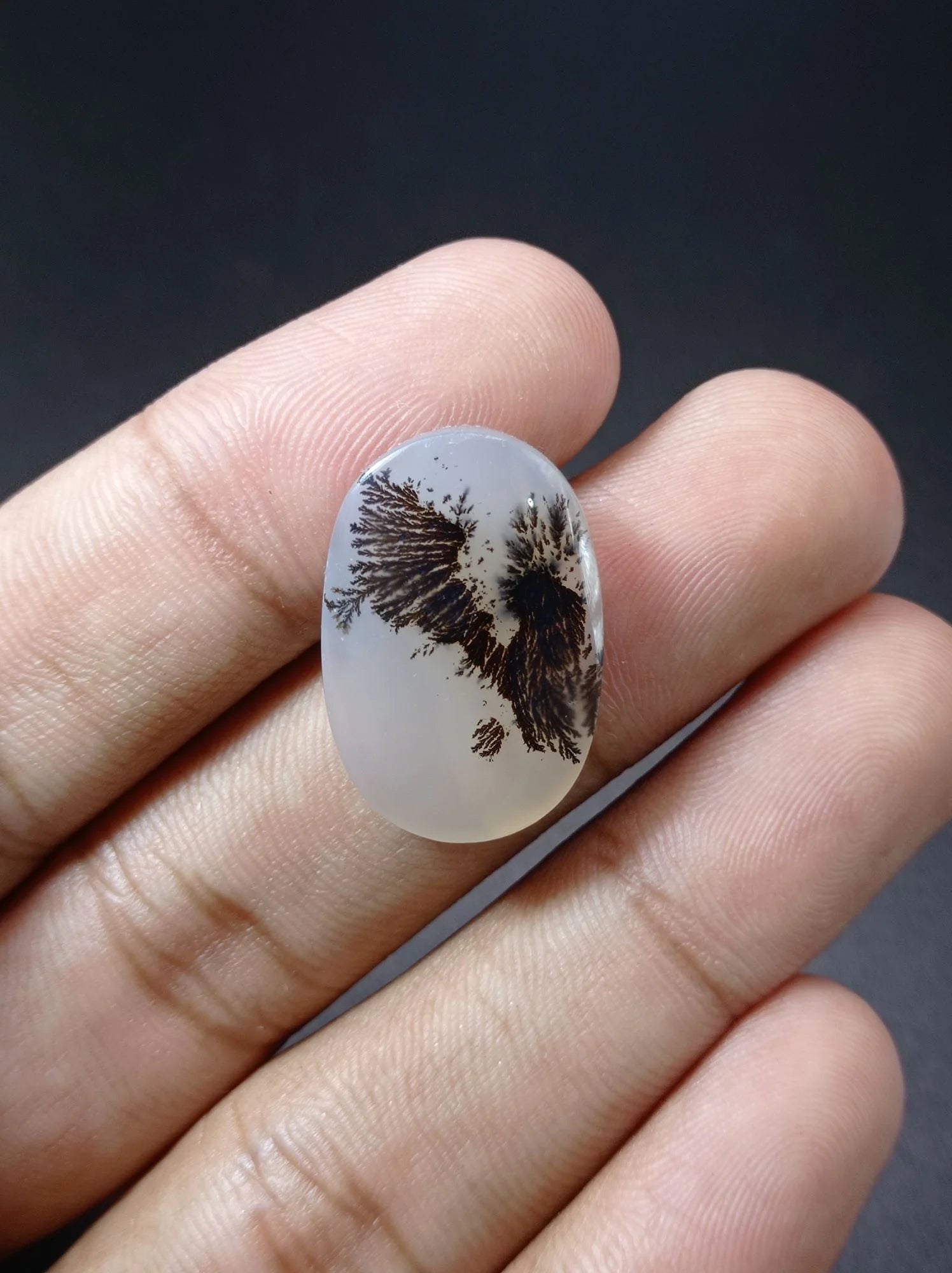 Dendritic Agate - 23.4ct