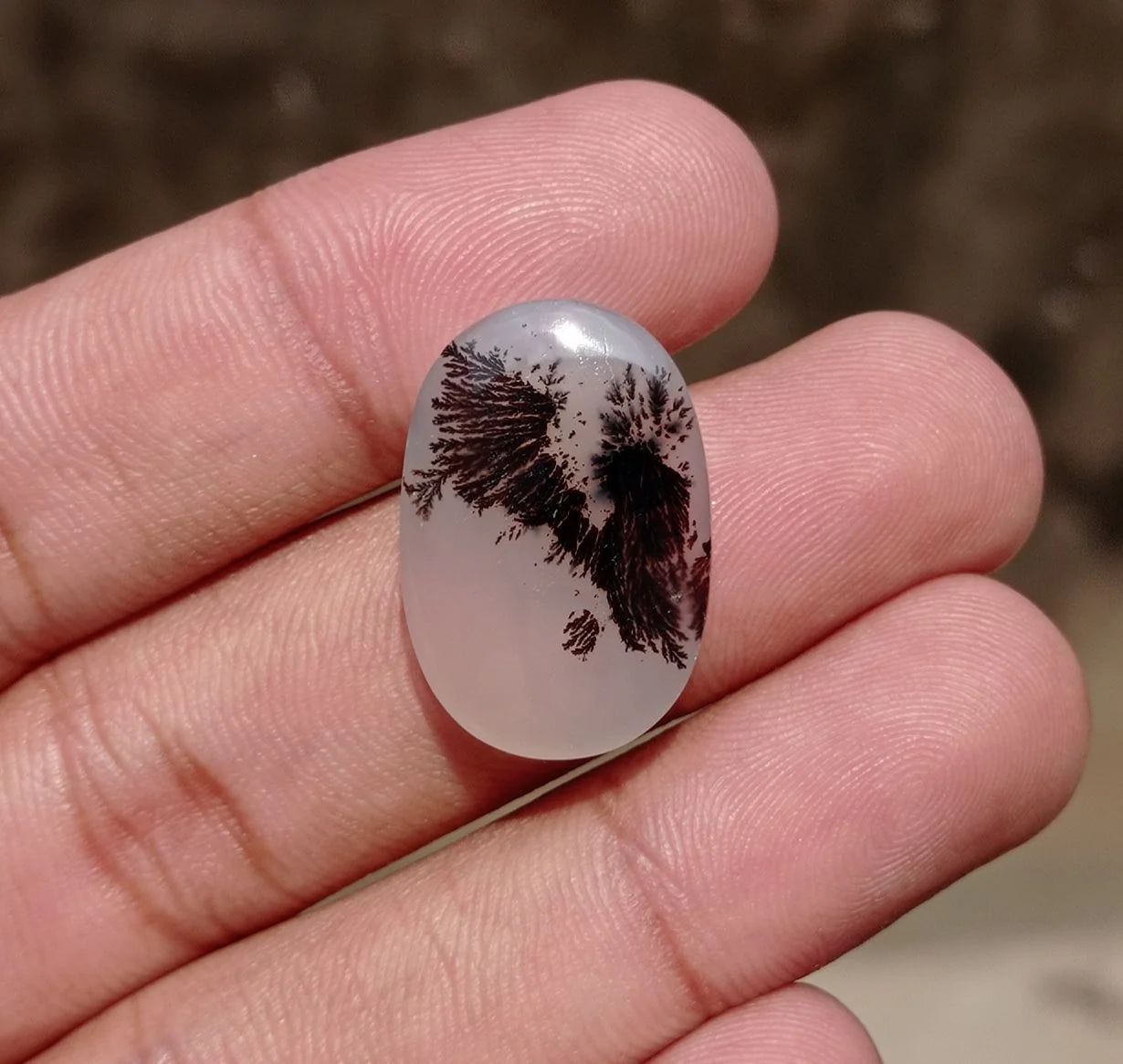 Dendritic Agate - 23.4ct