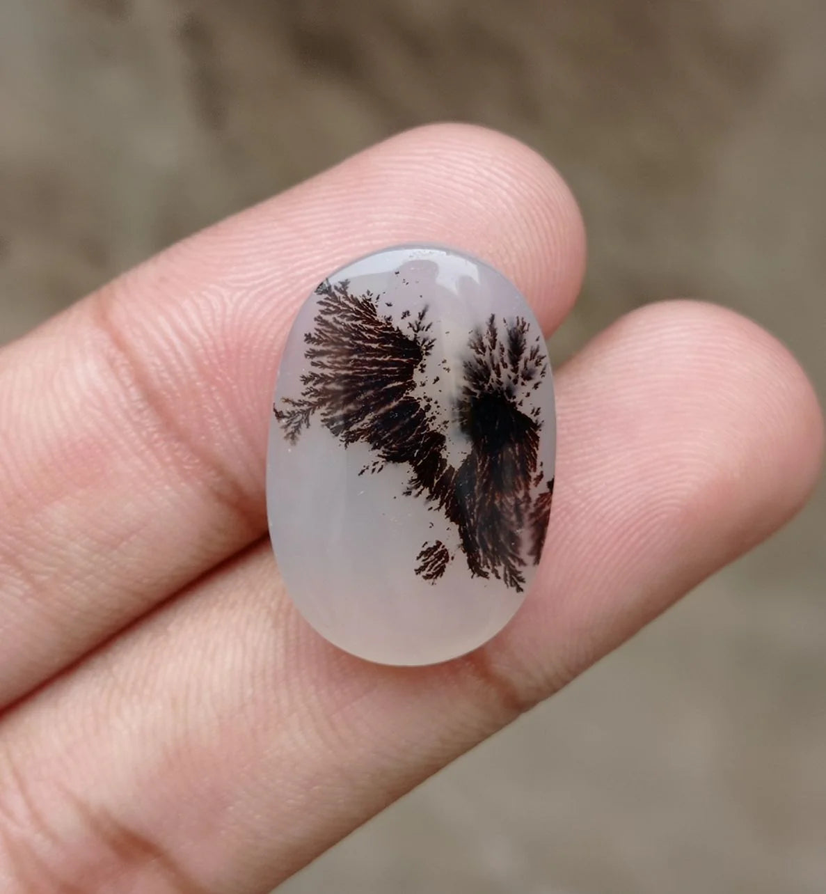 Dendritic Agate - 23.4ct