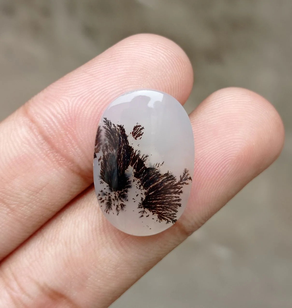 Dendritic Agate - 23.4ct